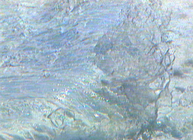 WAVE FINGERS
